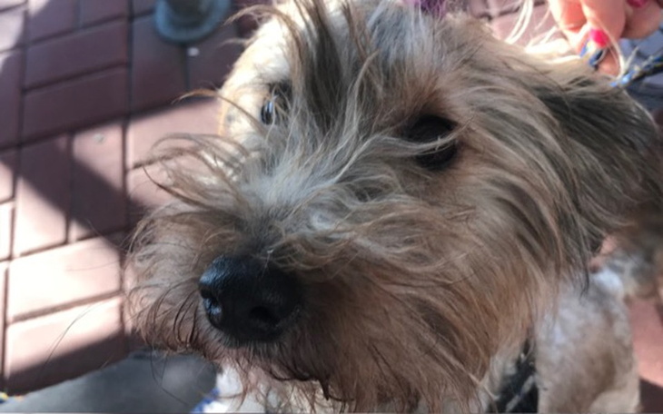 Zbiórka Tylko Ty mi zostałaś.. - zdjęcie główne