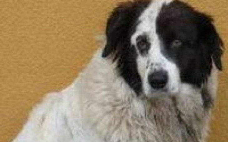 Zbiórka Cel charytatywny zbiórka - zdjęcie główne