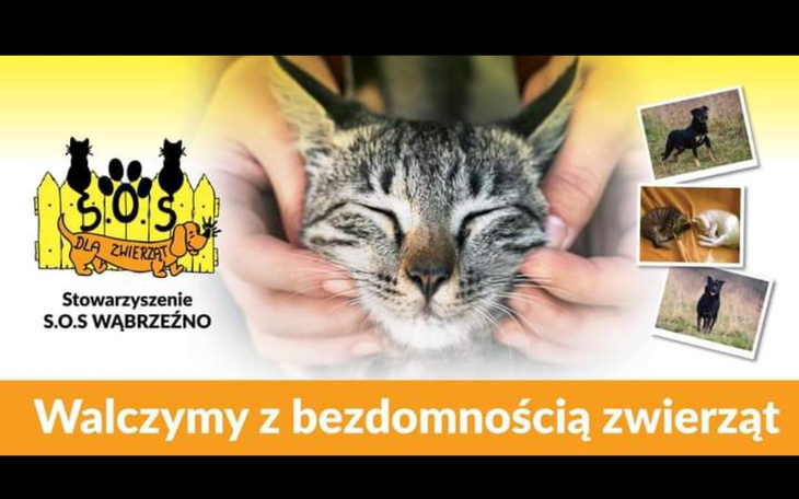 Zbiórka dla SOS Wąbrzeźno - zdjęcie główne