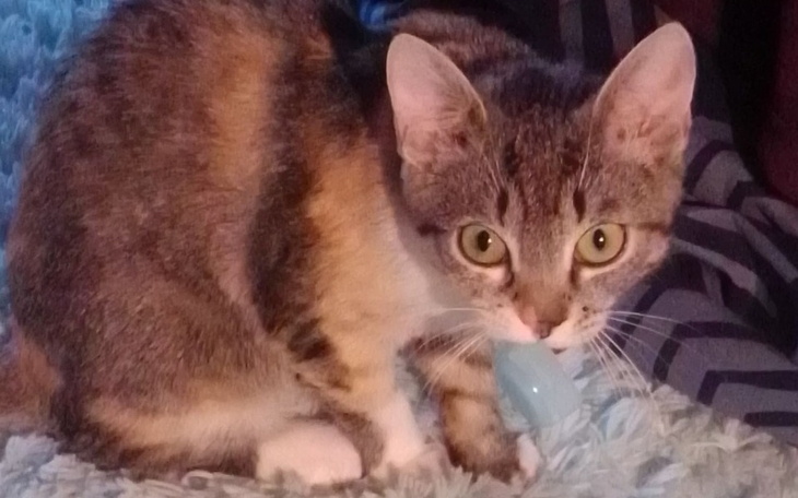 Zbiórka Nie ma za co żyć - zdjęcie główne