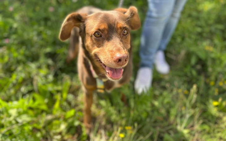 Zbiórka Dług Hiro za lipiec - zdjęcie główne