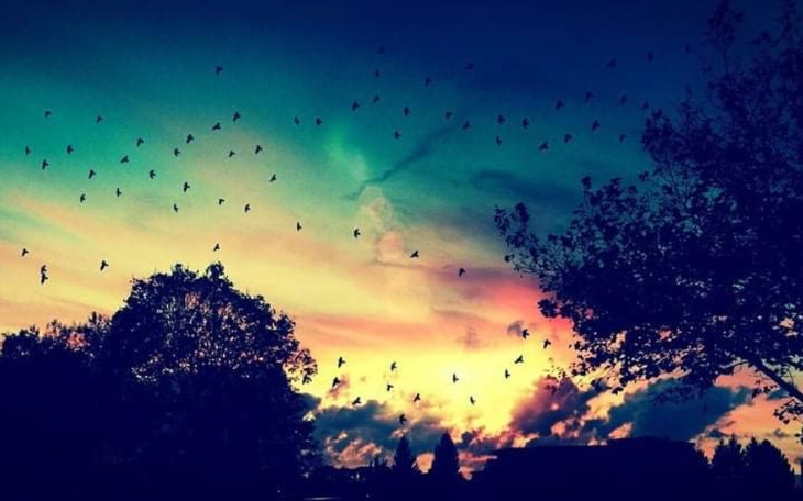 Zbiórka Pilna Pomoc Matka z dzieckiem - zdjęcie główne