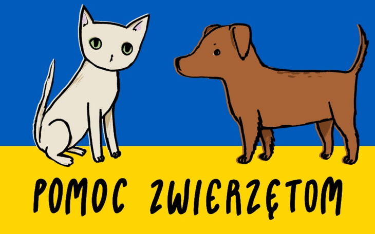 Zbiórka Zwierzaki z Ukrainy w DT - zdjęcie główne