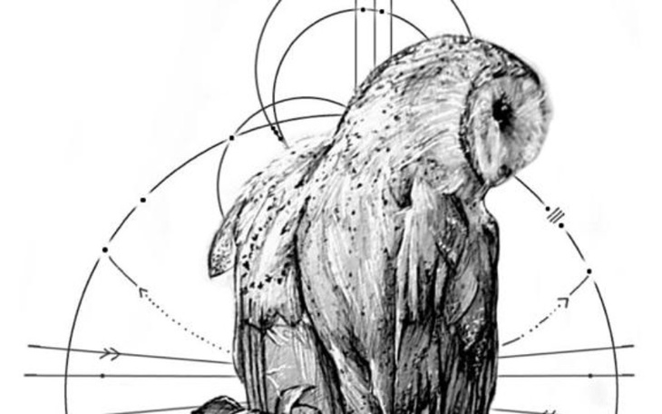 Zbiórka Zbieram na własne 4sciany - zdjęcie główne