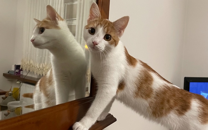 Zbiórka Pomóż Lili w walce z chorobą - zdjęcie główne