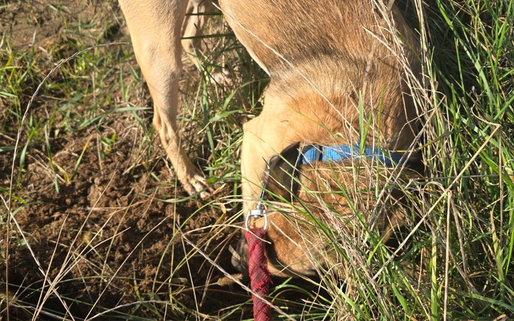 Zbiórka Na dług komorniczy - zdjęcie główne