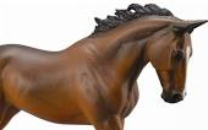 Zbiórka konfigurka - zdjęcie główne