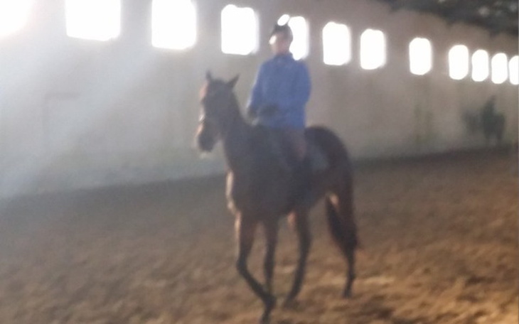 Zbiórka Na wymarzonego wierzchowca - zdjęcie główne