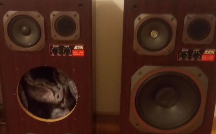 Zbiórka Zbieram na naprawę kolumn - zdjęcie główne