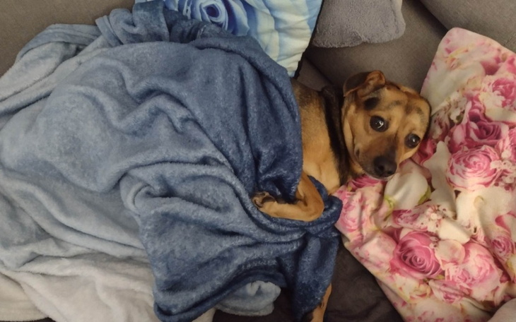 Zbiórka Pomóż mi uratować przyjaciółkę - zdjęcie główne