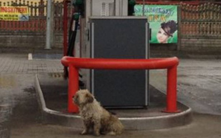 Zbiórka PORZUCONY na stacji benzynowej! - zdjęcie główne