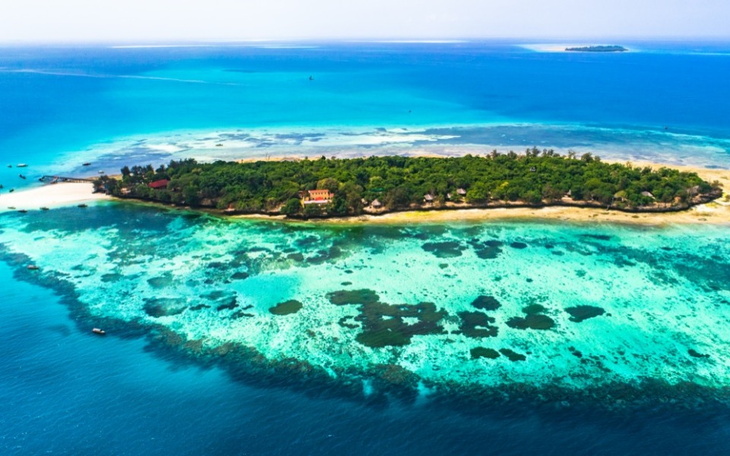 Zbiórka Zanzibar - zdjęcie główne