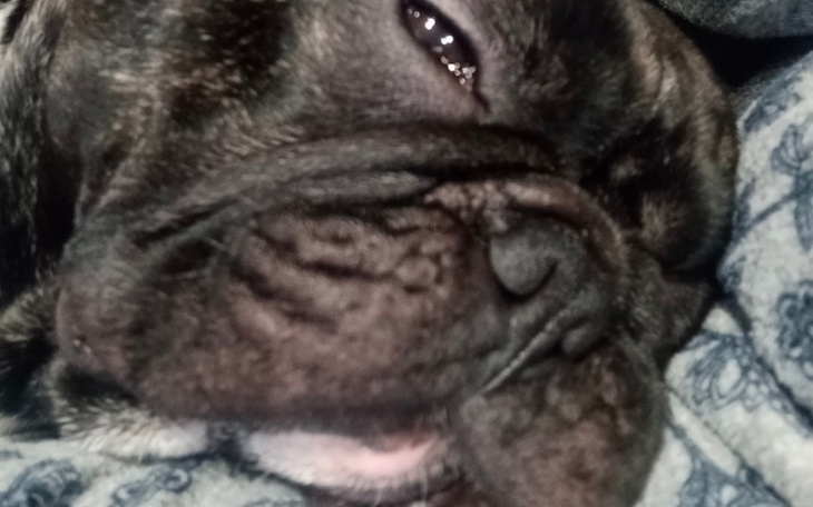 Zbiórka Rehabilitacja mojego Przyjaciela - zdjęcie główne