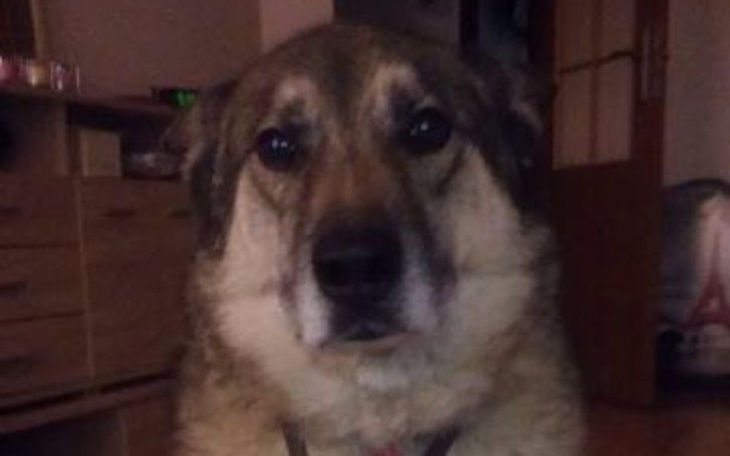 Zbiórka nowy dom dla Alexa - zdjęcie główne