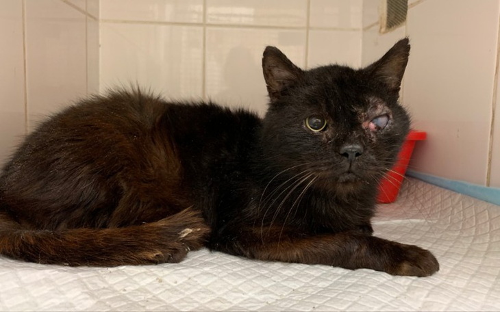 Zbiórka Duduś - zdjęcie główne