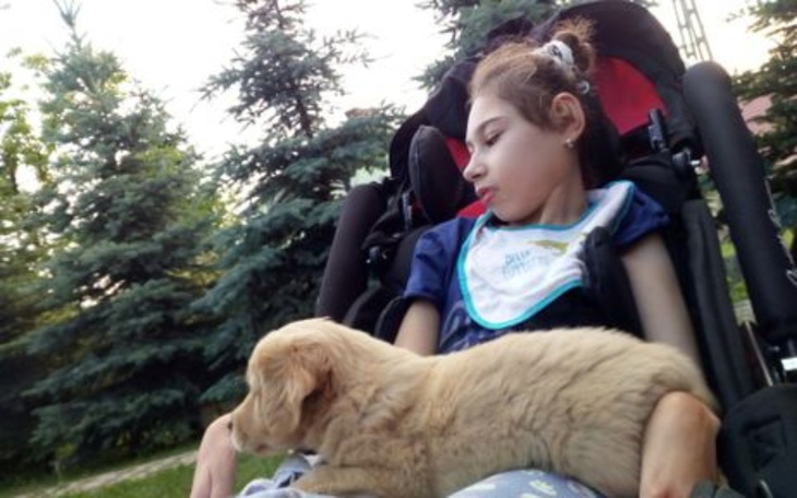 Zbiórka Potrzebny wózek dla Emilki - zdjęcie główne