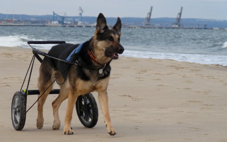 Zbiórka Oddajemy długi z Twoją pomocą - zdjęcie główne