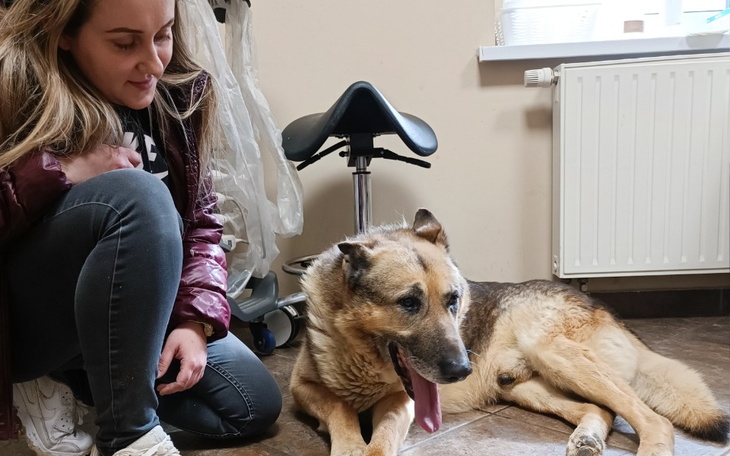 Zbiórka Ratujemy Życie Kugi . - zdjęcie główne