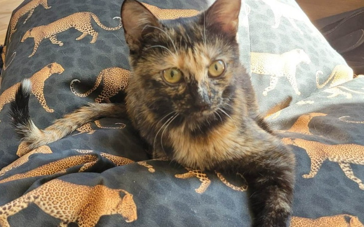 Zbiórka Filemon Potrzebuje POMOCY - zdjęcie główne