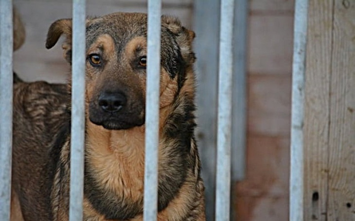 Zbiórka Mike - zerwane więzadło - zdjęcie główne