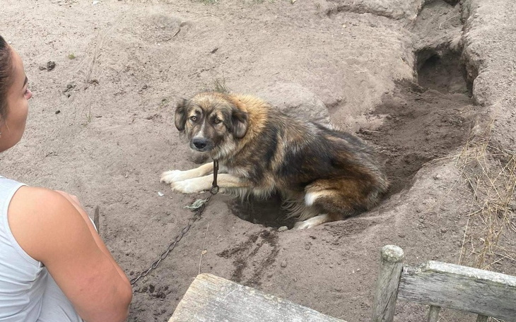 Zbiórka Miałam dół i łańcuch. - zdjęcie główne