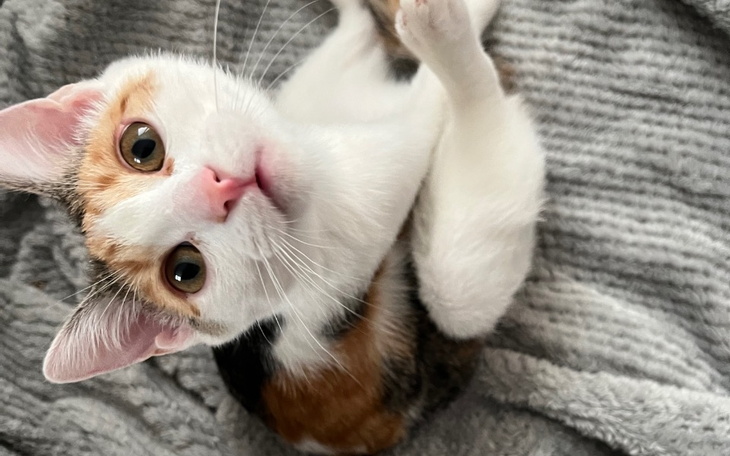 Zbiórka Pomóż Mii w walce z chorobą. - zdjęcie główne