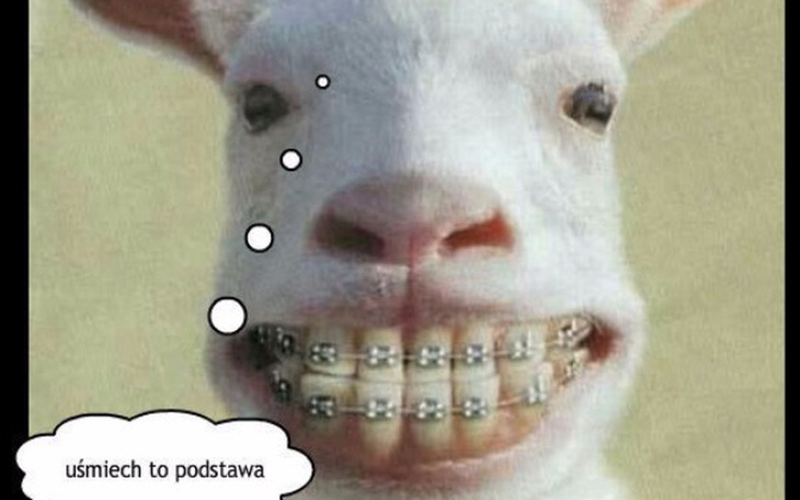 Zbiórka Prosty uśmiech-aparat na zęby - zdjęcie główne