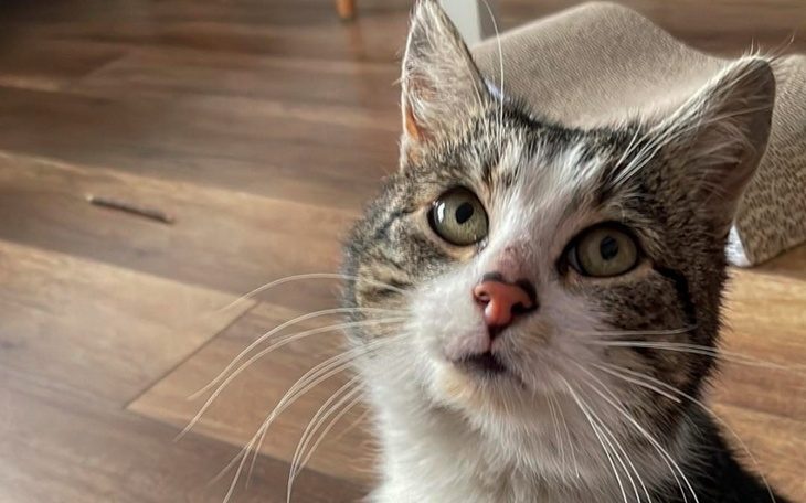 Zbiórka Zbiórka dla Juliana - zdjęcie główne