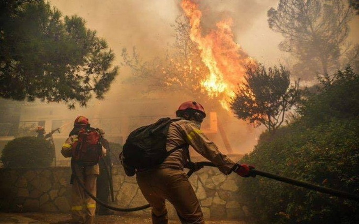 Zbiórka pomoc dla zwierząt z Grecji - zdjęcie główne