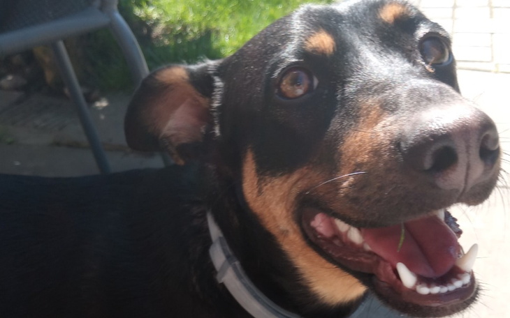 Zbiórka Balonik dla serduszka - zdjęcie główne