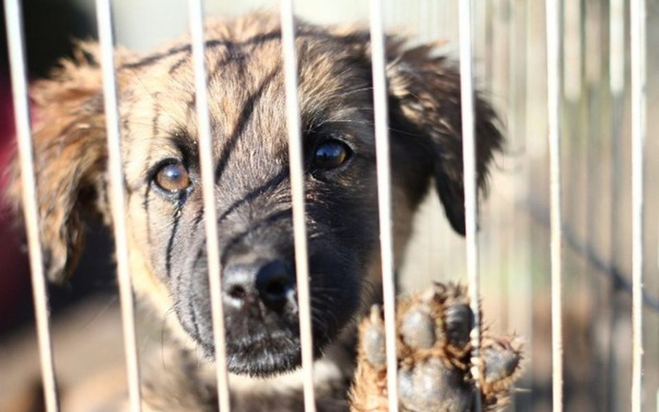 Zbiórka Wesoła paczka od Sawy :D - zdjęcie główne