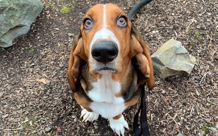 Zbiórka Pomóż mi znów biegac - zdjęcie główne