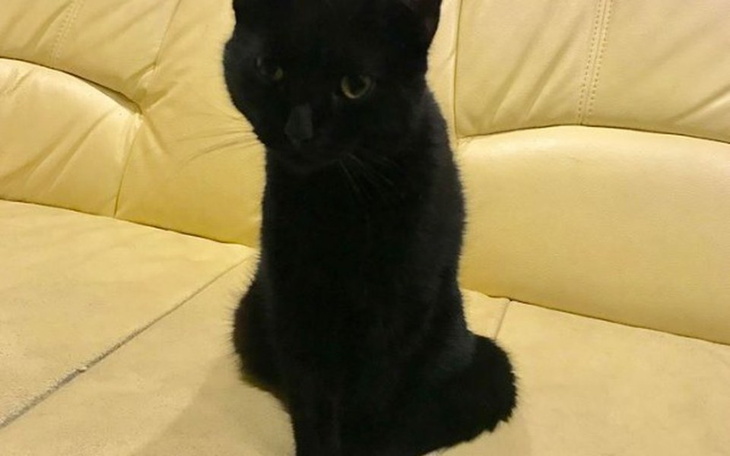 Zbiórka Pomoc dla Lucka - zdjęcie główne