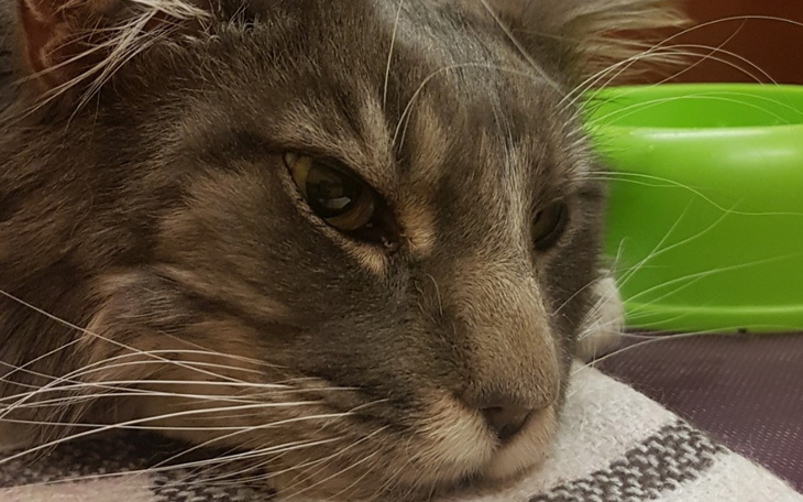 Zbiórka Borys.RATUJMY ZYCIE. Autoagresja - zdjęcie główne