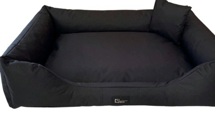 Zbiórka Na legowisko dla psa - zdjęcie główne