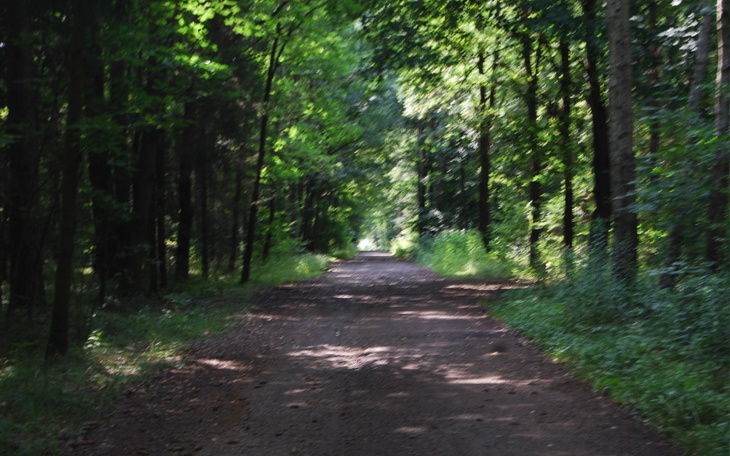 Zbiórka Na przejściówkę do monitora - zdjęcie główne