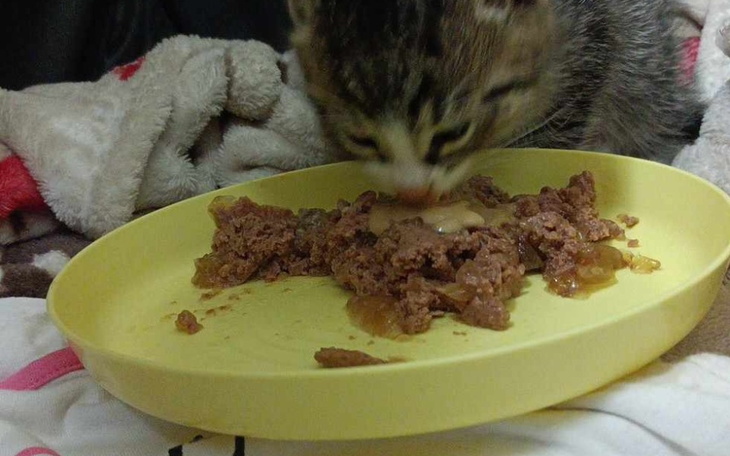 Zbiórka Na opiekę nad maluszkiem - zdjęcie główne