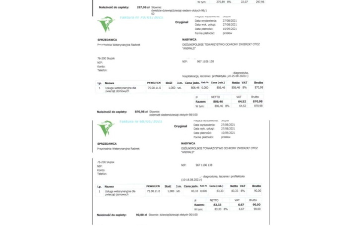 Zbiórka Ratujemy bezdomne zwierzęta - zdjęcie główne