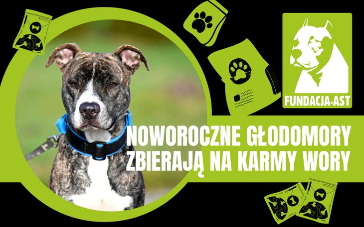 Zbiórka Noworoczne głodomory 2023 - zdjęcie główne