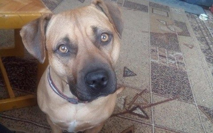 Zbiórka Pokrycie kosztów leczenia - zdjęcie główne