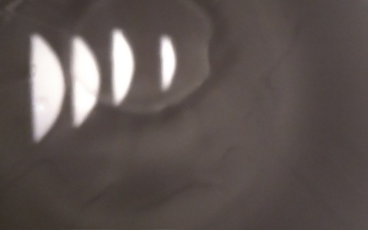 Zbiórka Zbieram na mvp - zdjęcie główne