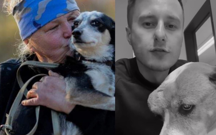 Zbiórka Zbiórka dla zwierzaków petycja - zdjęcie główne