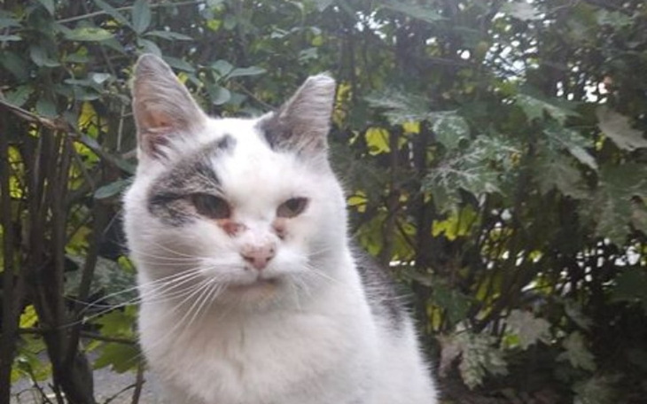 Zbiórka Stary, niekochany, niezauważany - zdjęcie główne