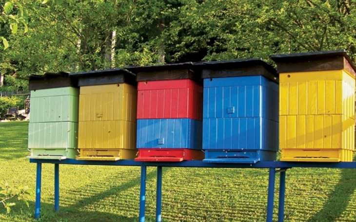 Zbiórka Powiększenie Pasieki pszczelarst - zdjęcie główne