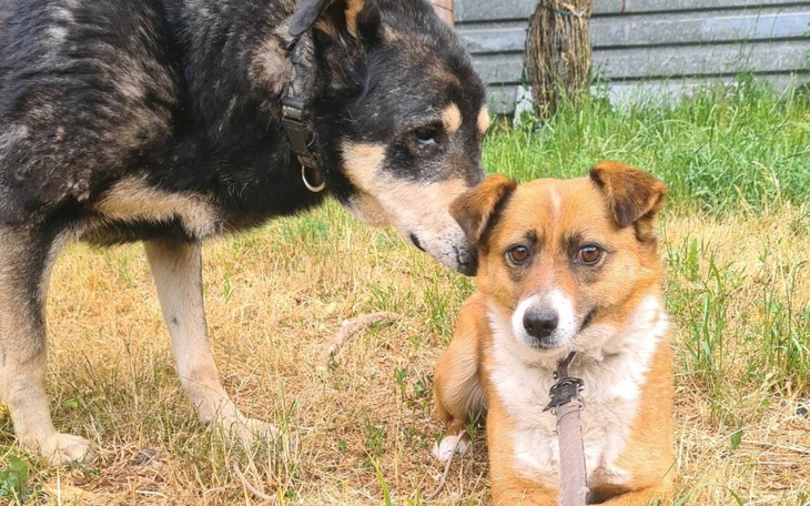 Zbiórka Nie dam rady sama - zdjęcie główne
