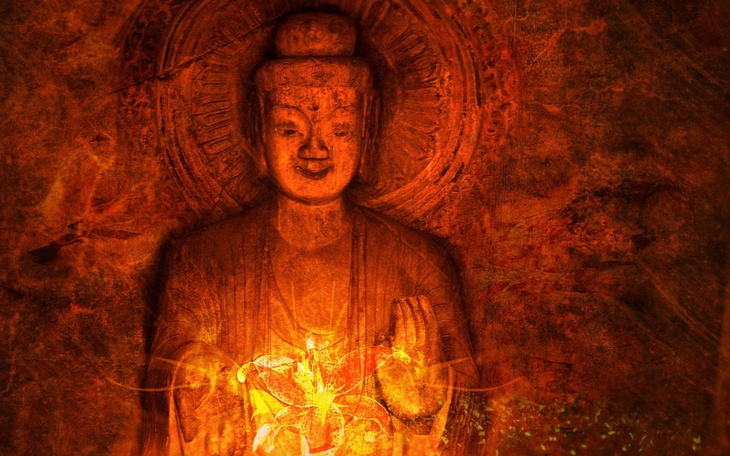 Zbiórka Lux Mee - zdjęcie główne