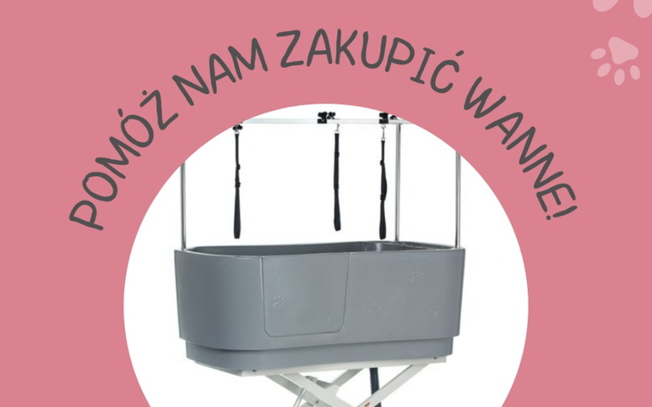 Zbiórka Zbiórka na zakup wanny - zdjęcie główne