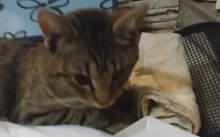 Zbiórka Zbiórka na kota - zdjęcie główne