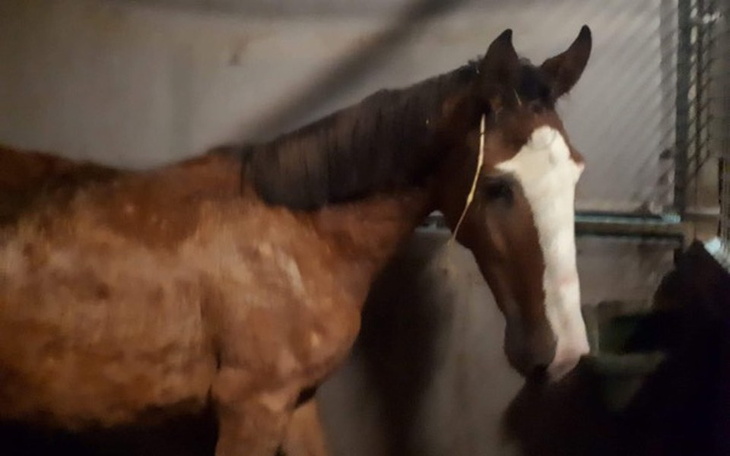 Zbiórka Ma czas do wtorku, błaga o życie - zdjęcie główne