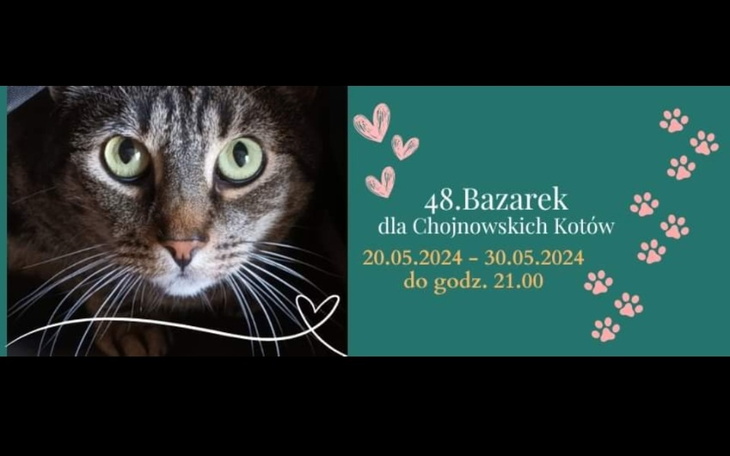 Zbiórka 48 Edycja Bazarku - zdjęcie główne